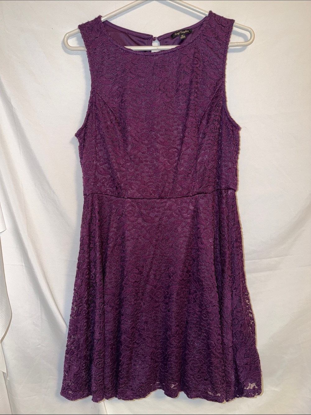 City Triangles Sleeveless Lace Skater Dress in Deep Purple